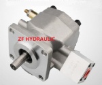 PR1-010 gear pump with relief valve