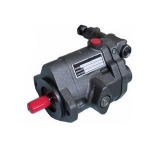 PVB Series Axial Piston Pump F3-PVB5-FRSFXY-20-S30-C-11-PRC/V