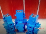 Marine manual directional valve CSBF series CSBF-G25