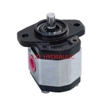 CB1A Gear Pumps CB1A-F13