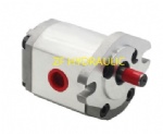 Hydraulic oil gear pump 1GG1P02R, 1GG gear pump