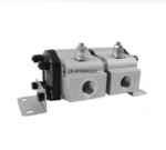 FMBH series FMBH-2R×11 high precision double gear flow divider motor